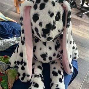 Cute long eared bunny